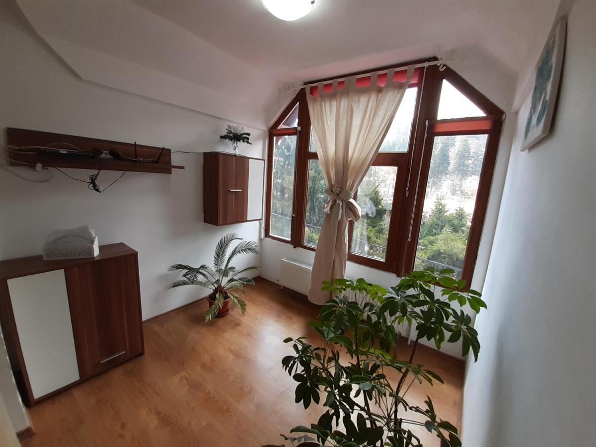 Casa Olguta Apartamento Sinaia Exterior foto
