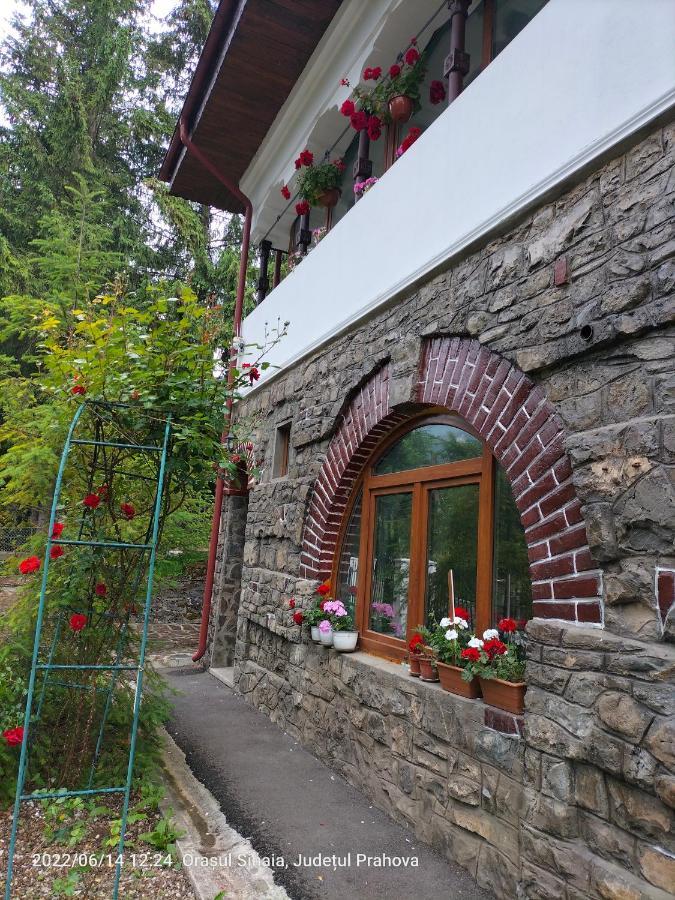 Casa Olguta Apartamento Sinaia Exterior foto