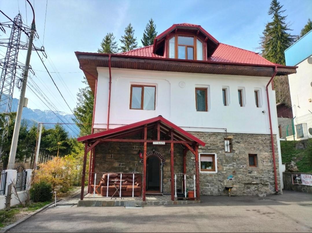 Casa Olguta Apartamento Sinaia Exterior foto