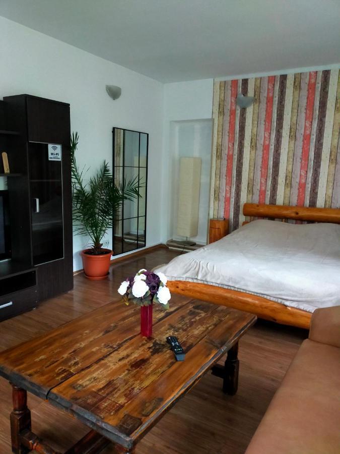 Casa Olguta Apartamento Sinaia Habitación foto