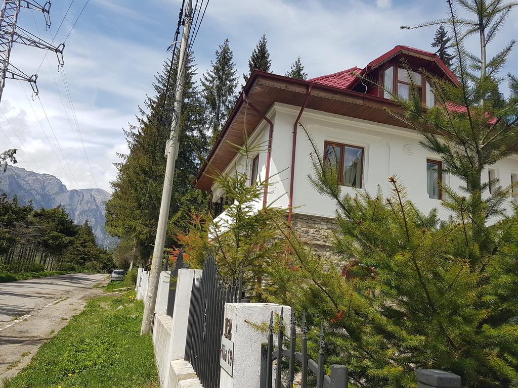 Casa Olguta Apartamento Sinaia Exterior foto